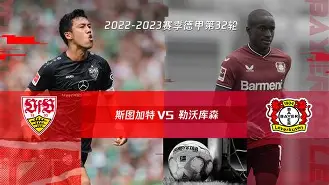 勒沃库森上赛季德甲第几